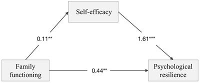 The mediating effect of self-efficacy on family functioning and psychological resilience in prostate cancer patients